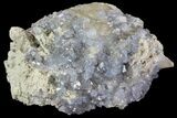 Purple/Gray Fluorite Cluster - Marblehead Quarry Ohio #81191-1